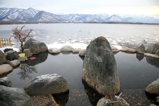 Open-air hot spring beside Lake Kussharo with swans in winter