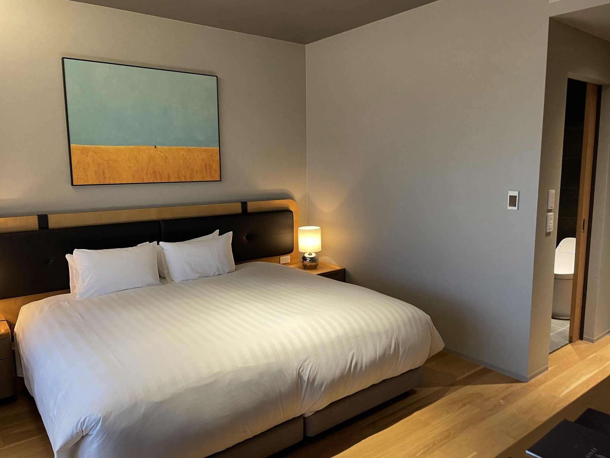 Luxury Hotels
