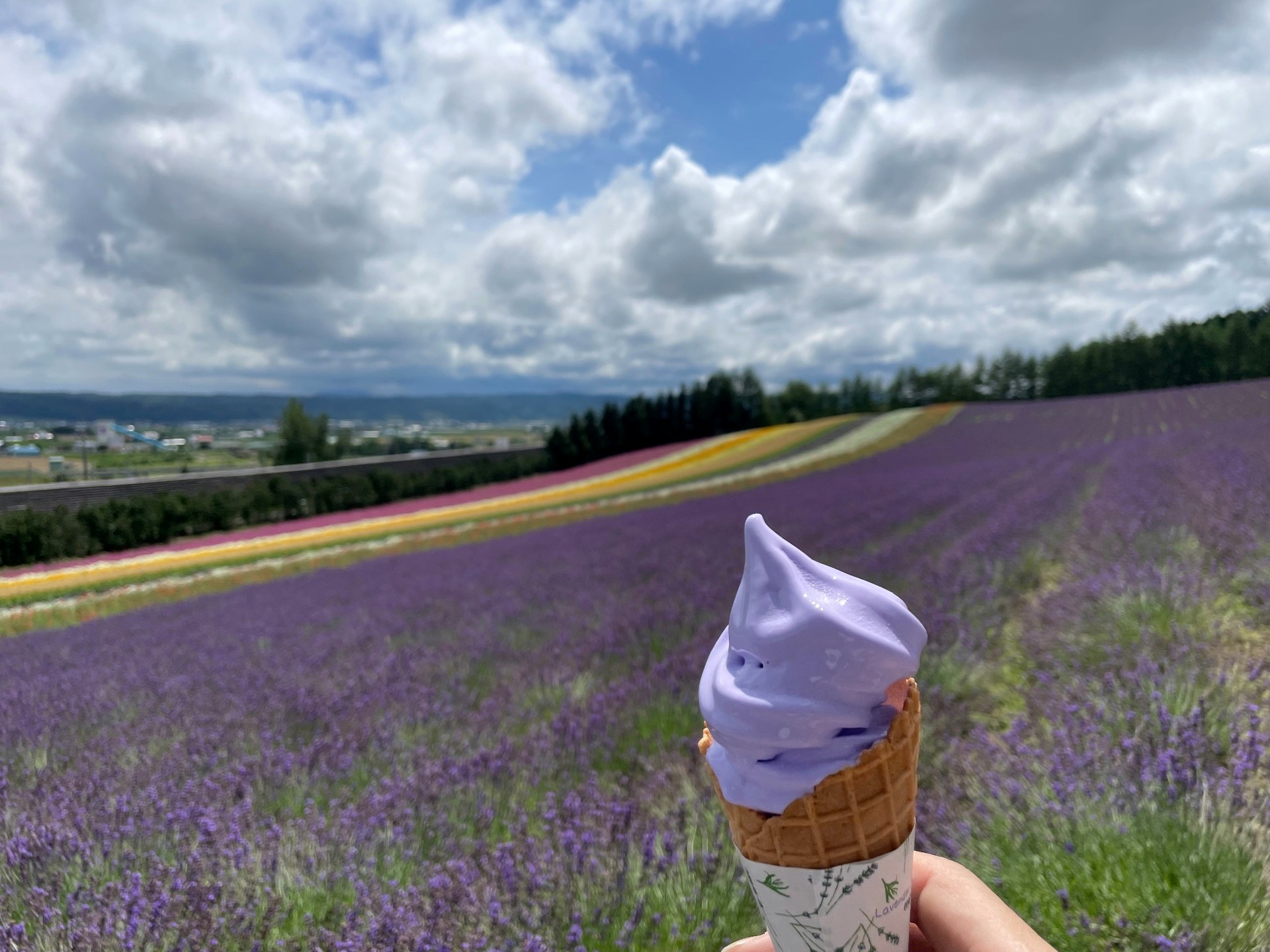 Lavender soft-serve held against the rolling lavender rows of Furano in summer