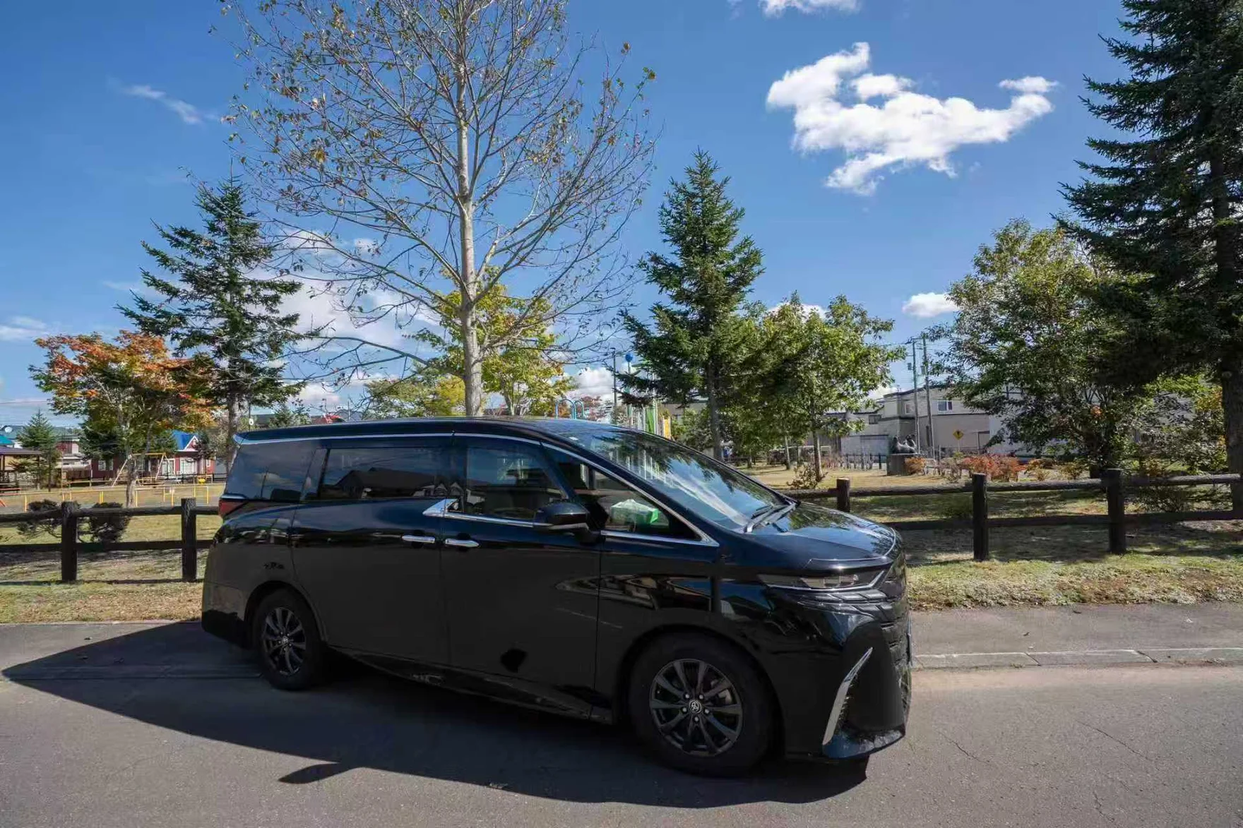 Black passenger vehicle parked beside fir trees and autumn foliage under a blue sky