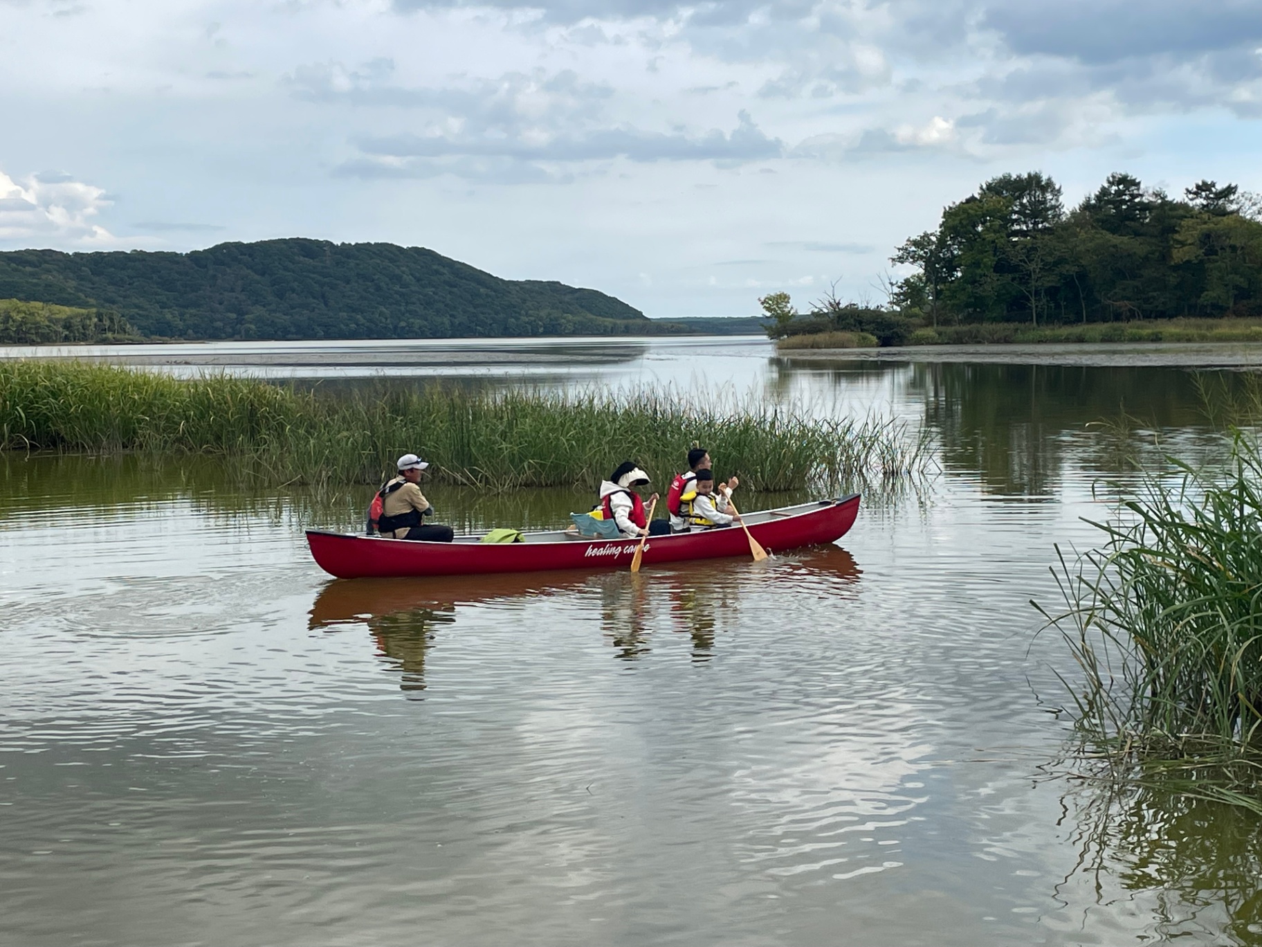 Red canoe gliding through the reeds of Kushiro wetlands