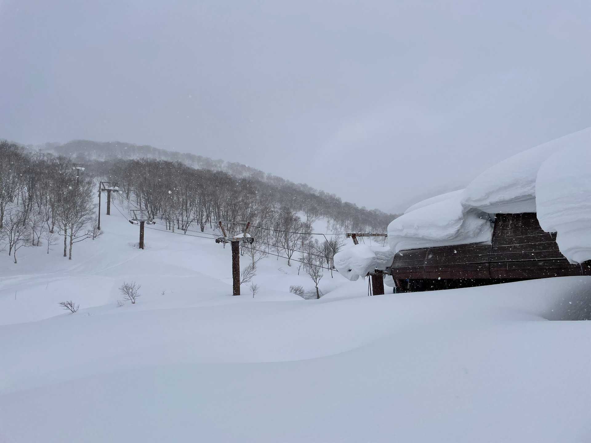 Fresh powder snow falling at a Niseko ski resort
