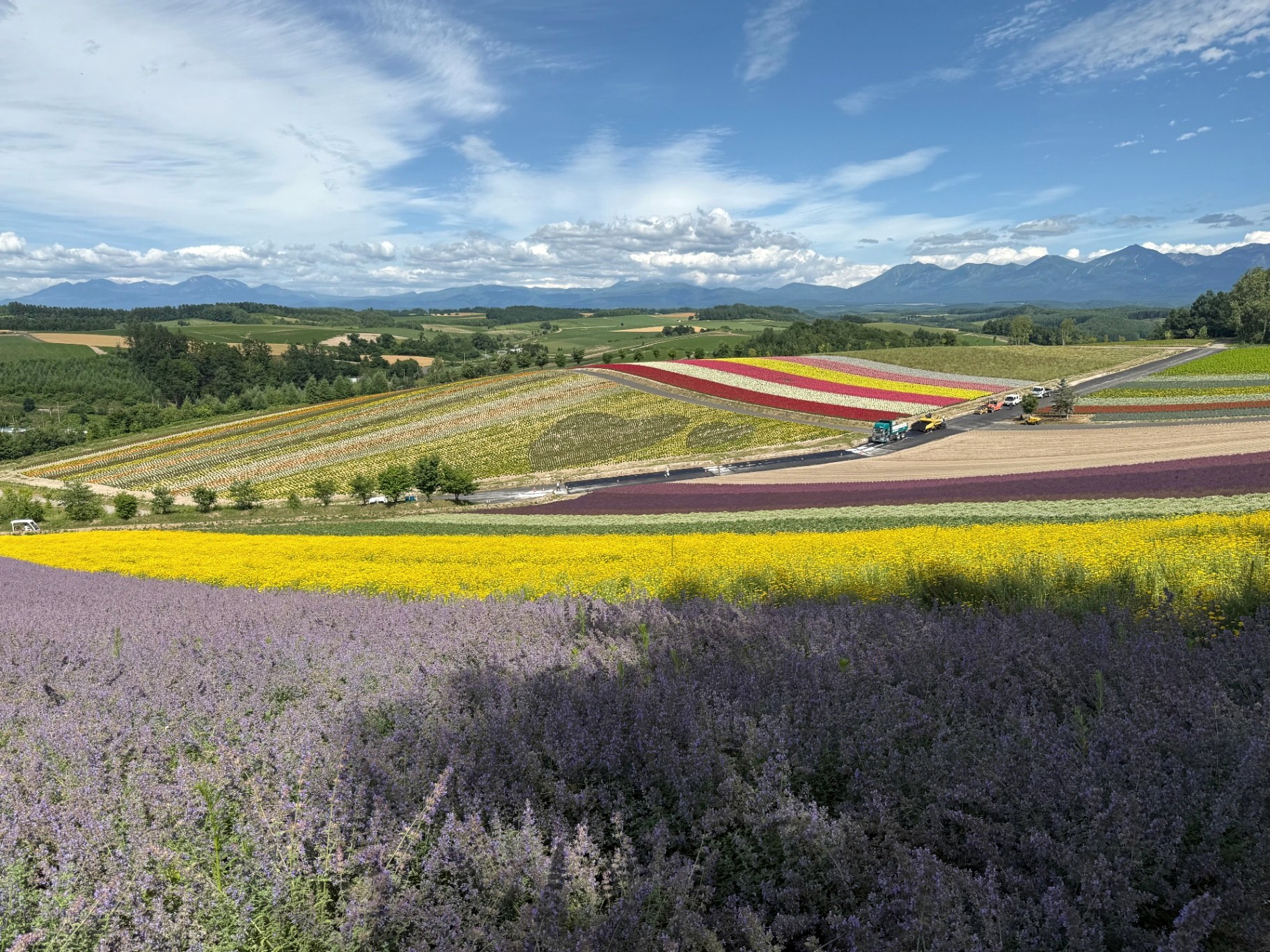 Patchwork flower fields above Biei with the Tokachi mountain range on the horizon