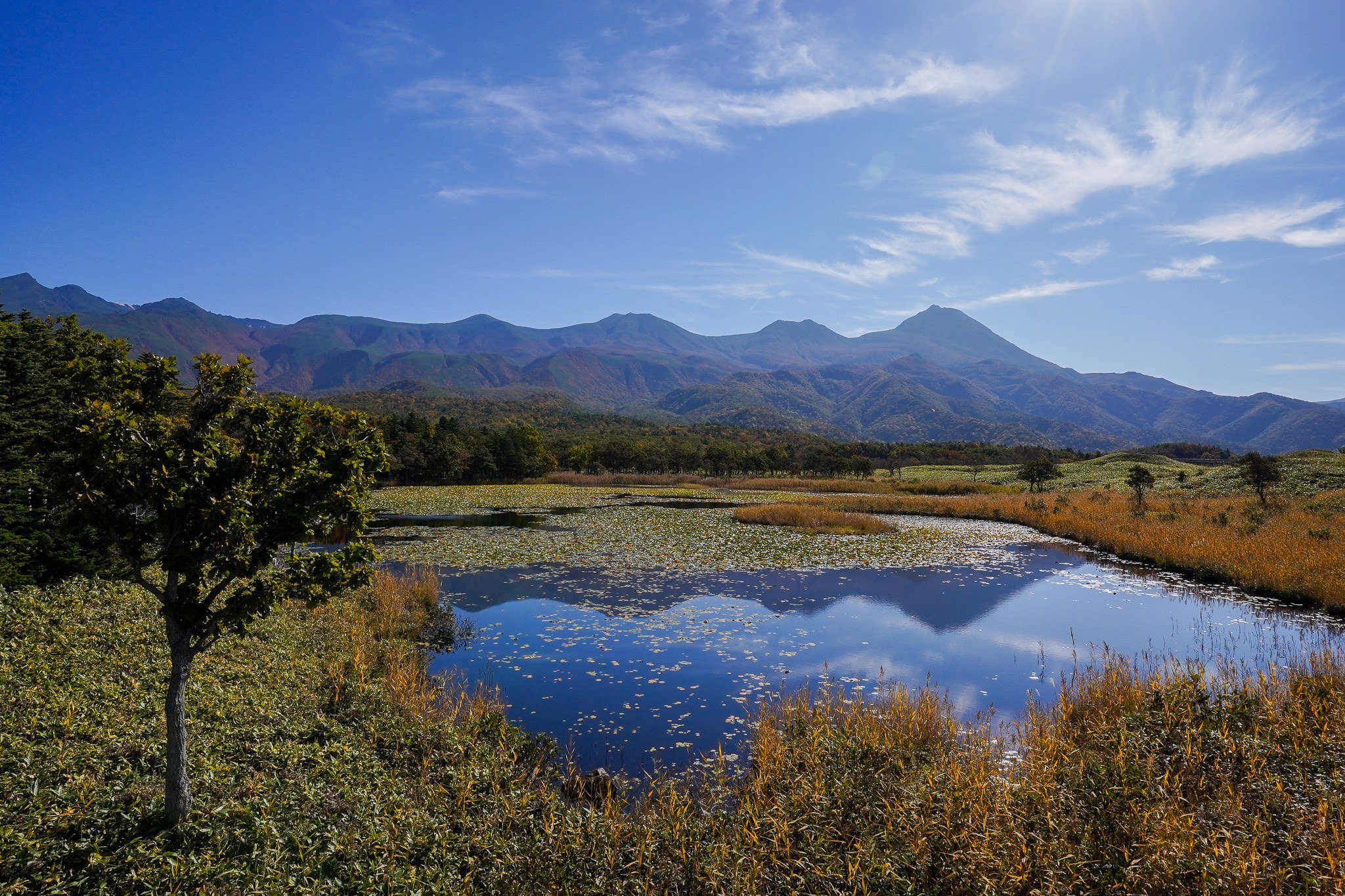 Autumn wetland in Shiretoko reflecting mountains beneath a blue sky