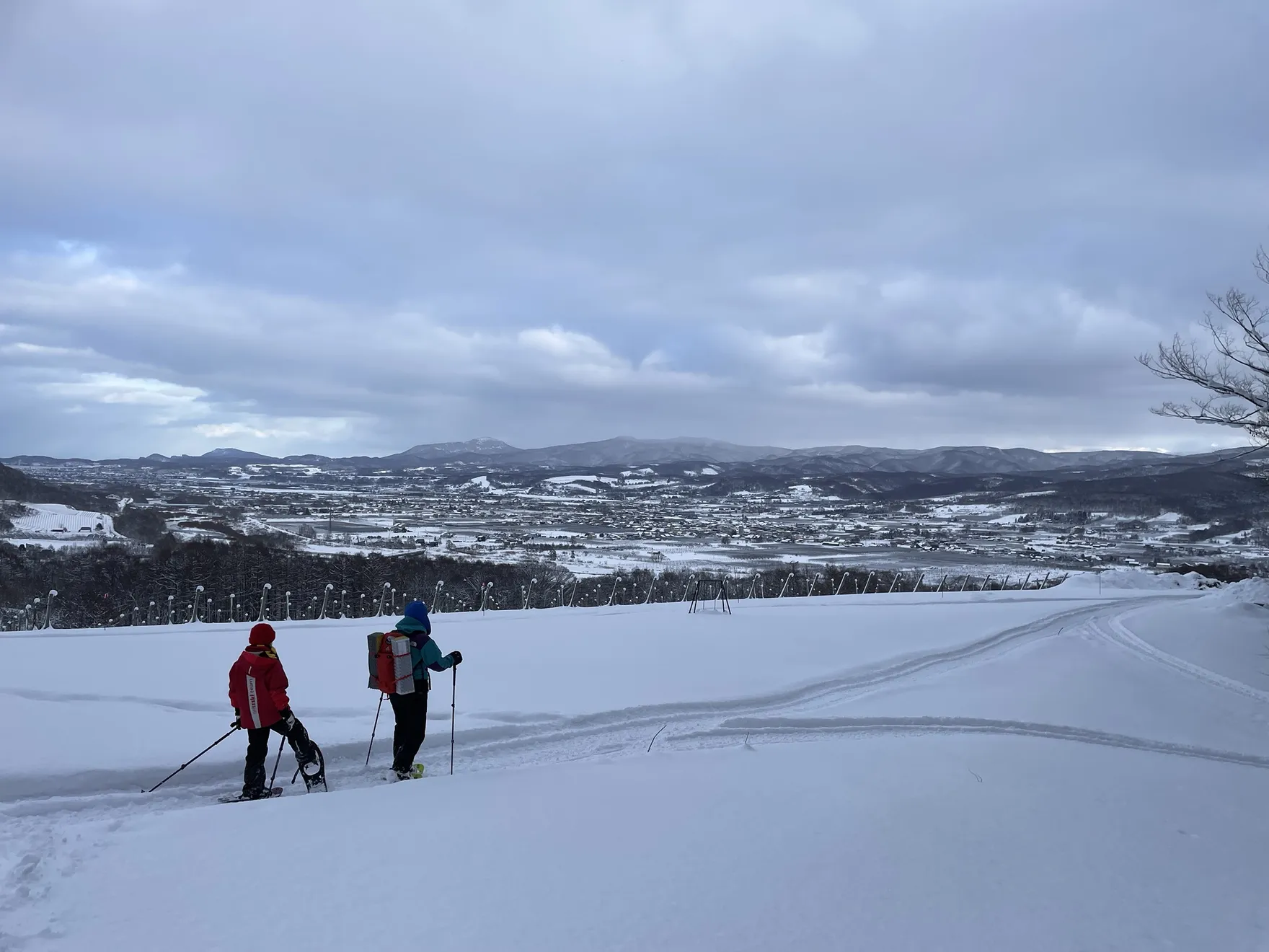 Two snowshoers seen from behind overlooking a snow-covered valley