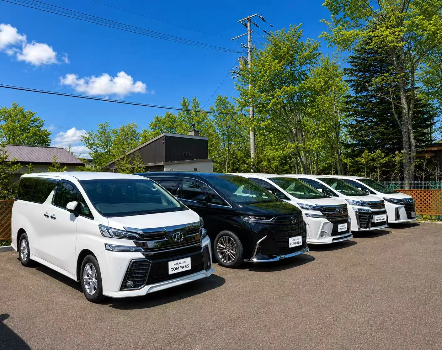 Hokkaido Compass rental fleet lineup — Toyota Alphard and Vellfire vans on a sunny summer day