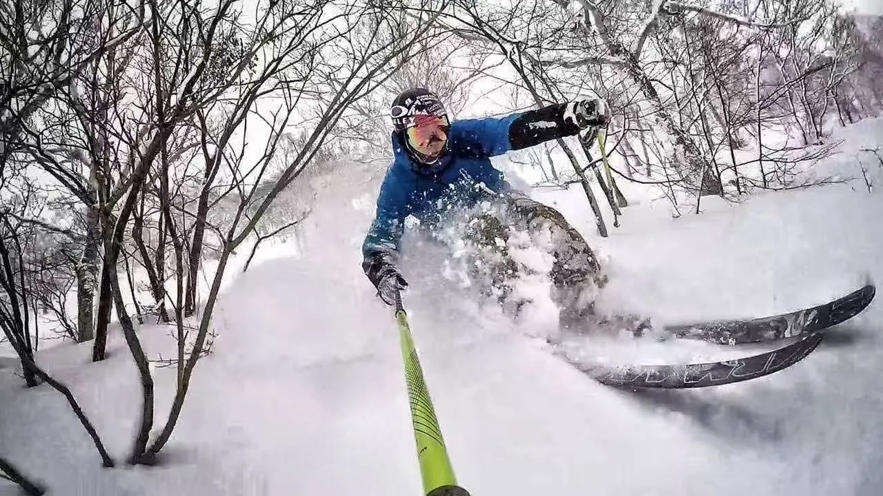 Skier carving through powder between snow-covered trees in Niseko
